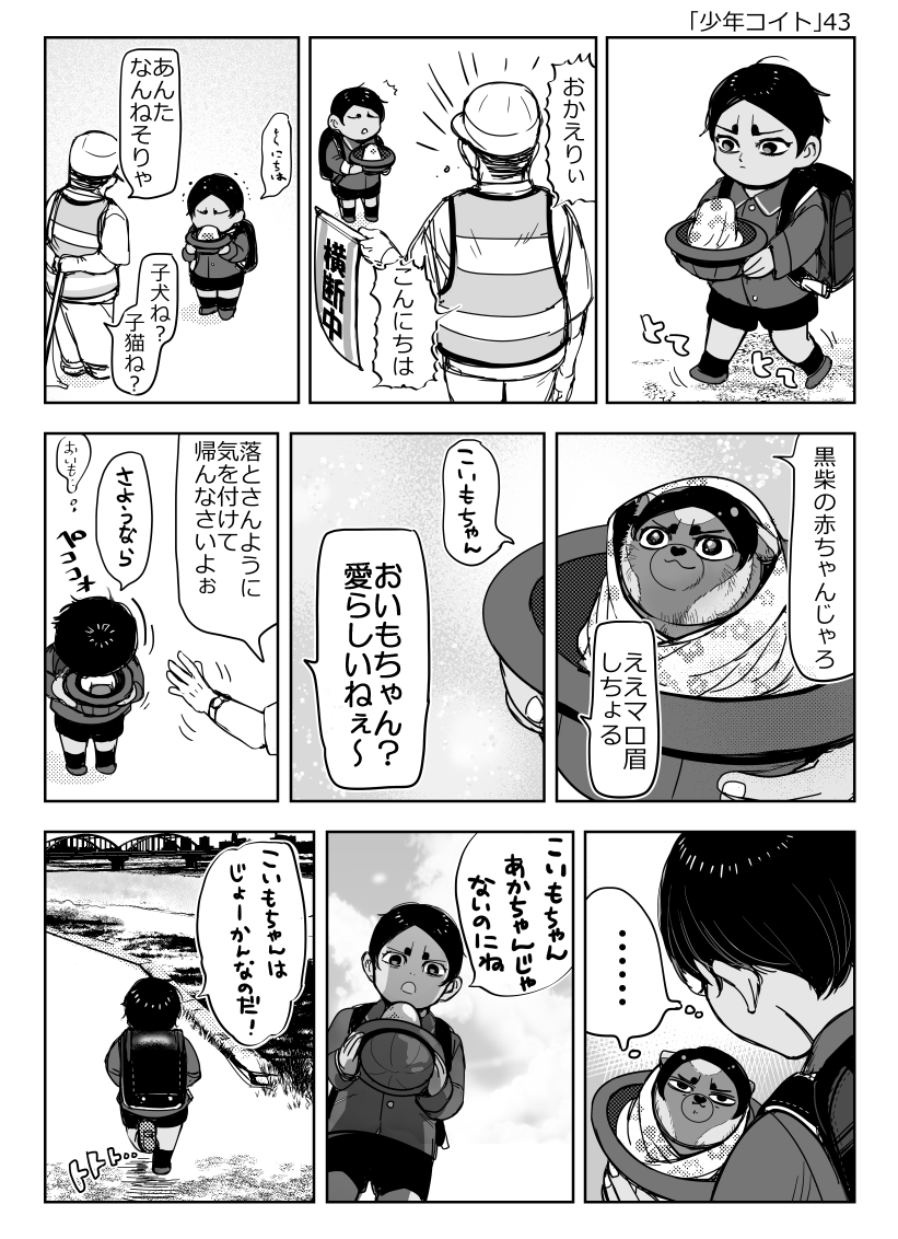 satoosm's tweet photo. ※鯉ちゃんとふぉぜ鯉ちゃん。その43。 https://t.co/G9jAUdUPUq