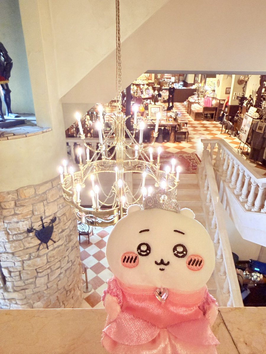 mizuki_moka33's tweet photo. お城でくつろぐおでぶちゃん⋆* https://t.co/5Xe5SgJ4Ql