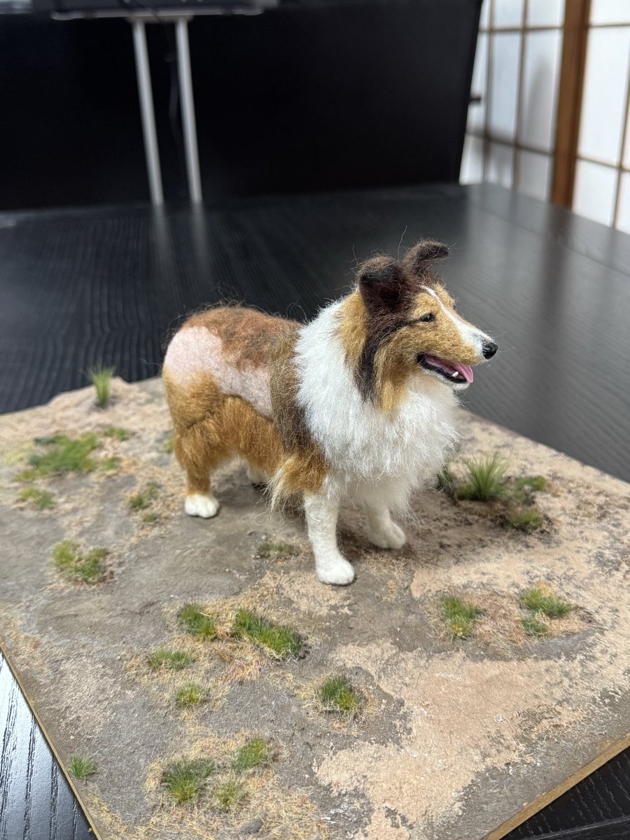 見本品 羊毛フェルトシェルティ 羊毛フェルト／シェルティ （アトムくん） Shetland Sheepdog 植毛に