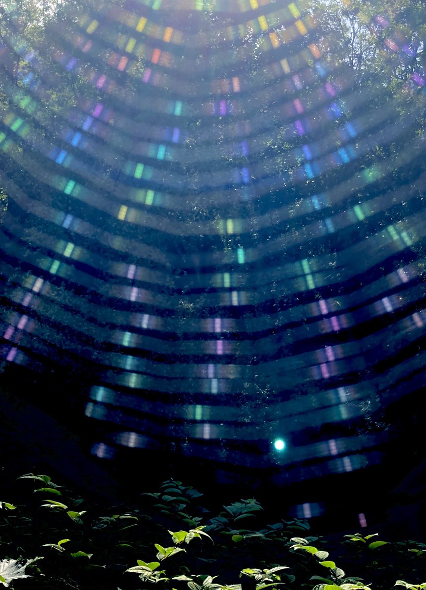 to_glasgow's tweet photo. Blurred web in morning sun. https://t.co/JiQYUB9CGO