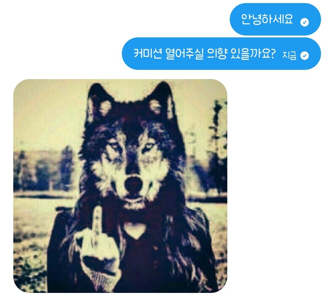 세키 tweet media