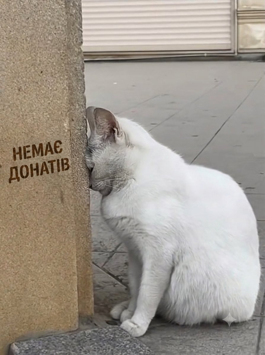 Bodyacik's tweet photo. Ну це штанга,донати впали до 0 ,за 15 днів даже половину суми не зібрати,ПУПУПУПУ🚬 https://t.co/wPRzeC3GoO