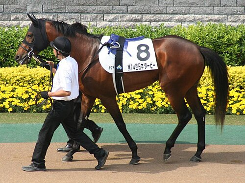 keiba_info_club's tweet photo. 大阪杯・天皇賞（春）・宝塚記念で全て3着以内に入った馬

1993年 メジロマックイーン
　1着→2着→1着

1997年 マーベラスサンデー
　1着→3着→1着

2007年 メイショウサムソン
　1着→1着→2着

2009年 ドリームジャーニー
　1着→3着→1着

2011年 エイシンフラッシュ
　3着→2着→3着

2016年 キタサンブラック
　2着→1着→3着

2026年クロワデュノール←NEW!!
　1着→1着→2着

クロワデュノール、これらの名馬たちと肩を並べる存在に
※1984年以降