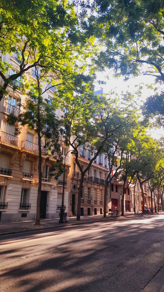 RoeRoanna's tweet photo. Le dimanche matin, #Paris ralentit enfin. Les rues sont calmes, le soleil traverse les arbres, et pendant quelques heures, la ville semble n'appartenir qu'aux promeneurs. 
🍃☀️ #photographe #photodrop https://t.co/3ddVOylETJ