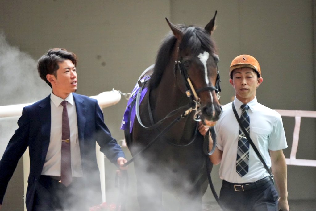 daidenkinko's tweet photo. #マイネルエンペラー
#ゴールドシップ産駒
タバさんとペラ氏並んで走ってるのに夢を見た！おつかれ！！！ https://t.co/yhg8aX14Je