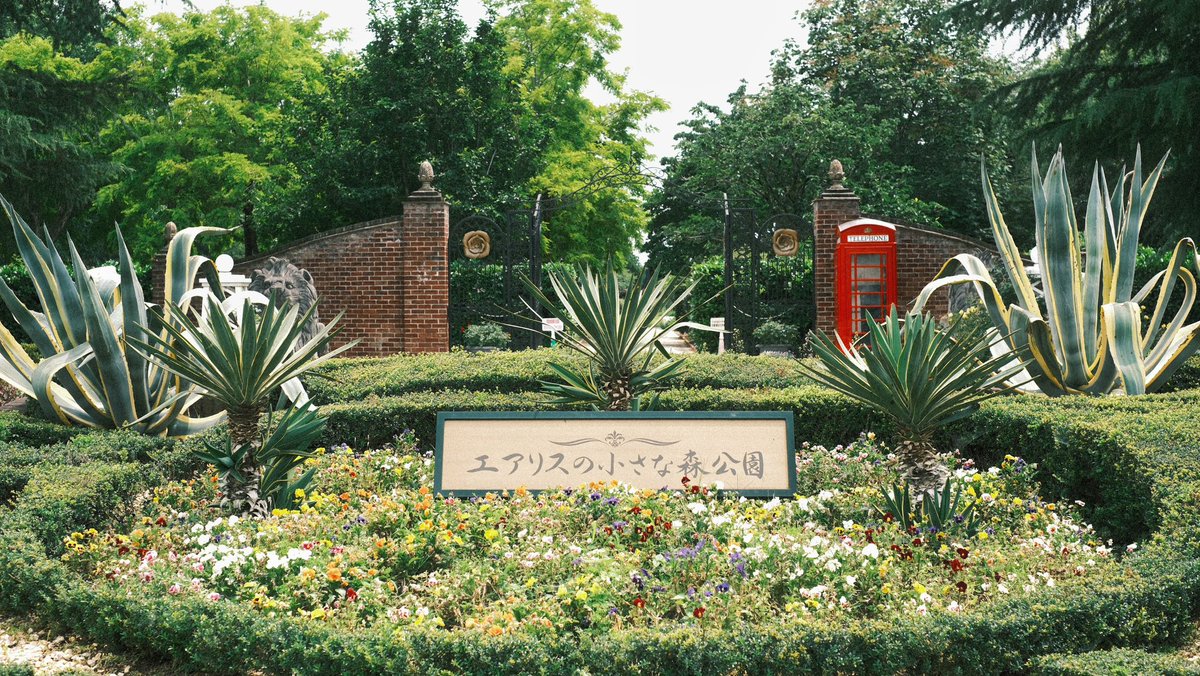 Dear20040606's tweet photo. 今日の写真📸

エアリスの小さな森公園🌳⛲️ https://t.co/E2uRrEnPSB