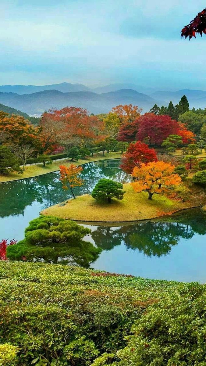 NExpolore's tweet photo. Autumn painted the garden, then the lake borrowed the colors ๐๐ช
#FallMagic #JapaneseGarden #AutumnVibes #NatureTherapy https://t.co/1GAo8KaI2R