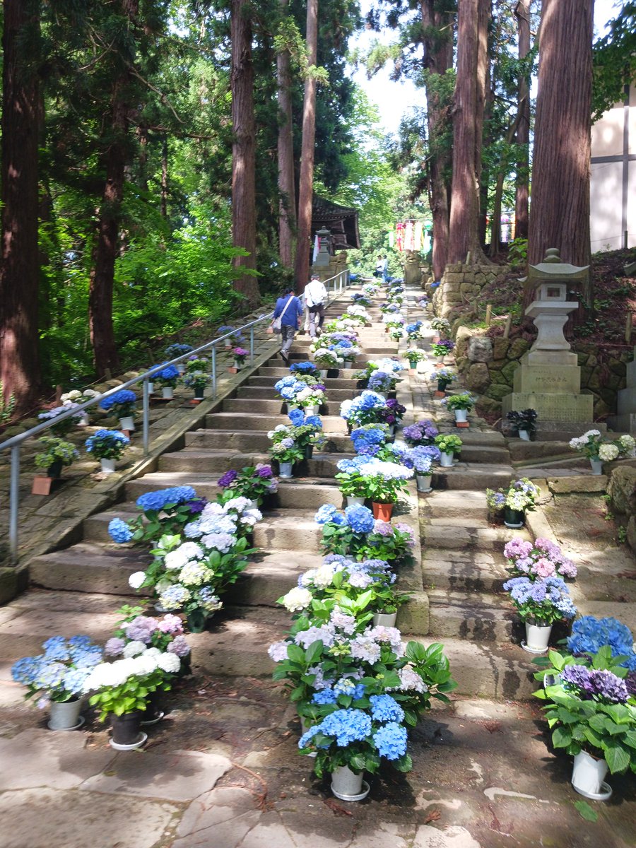 coco97403617's tweet photo. 熊野神社　山形 https://t.co/IMh15r6zth