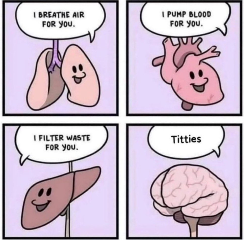 𝙎𝙩𝙮𝙜𝙞𝙖𝙣 tweet media
