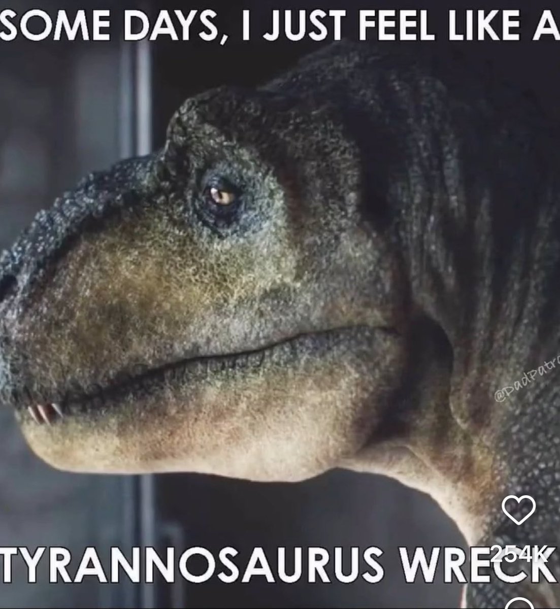 TheLastBrainCel's tweet photo. …and that’s ok. https://t.co/UdUEtyaPUz