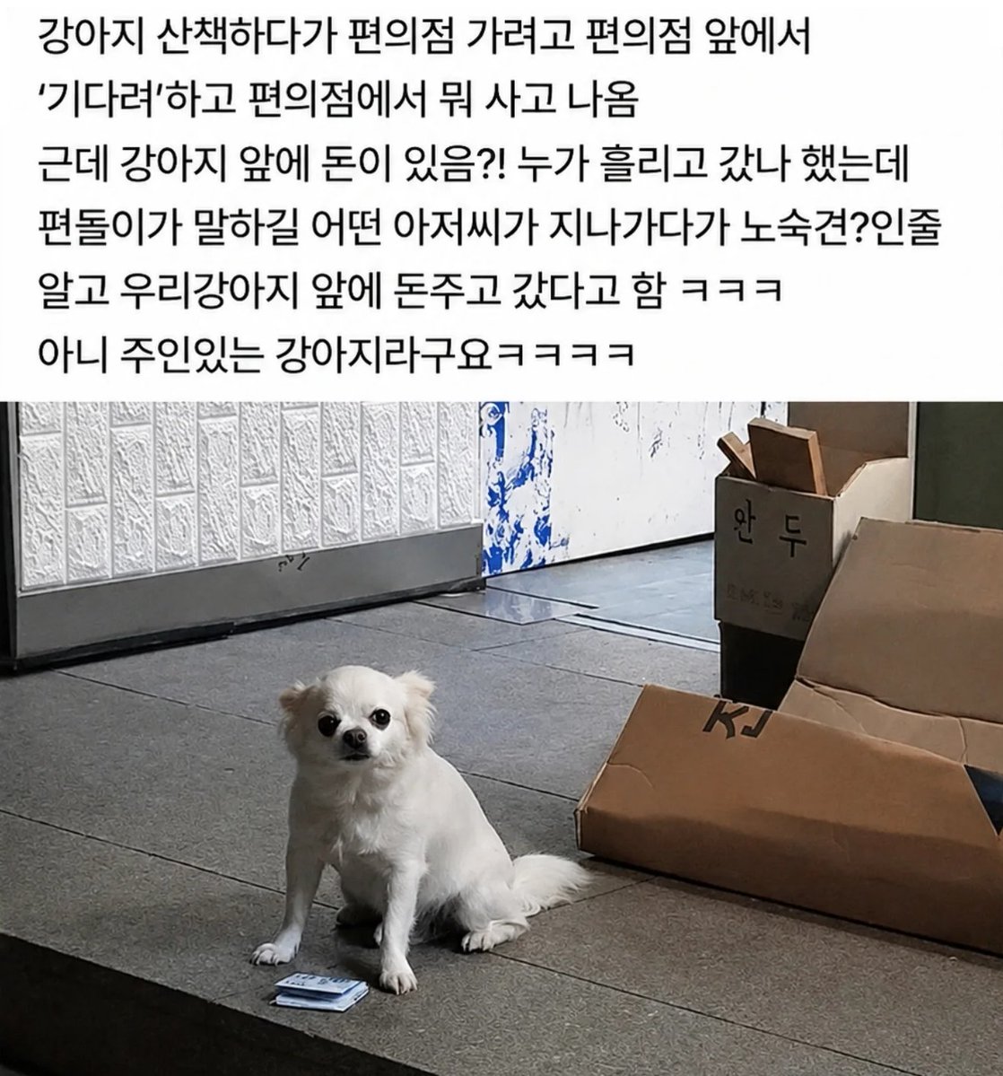 썰카이브 tweet media