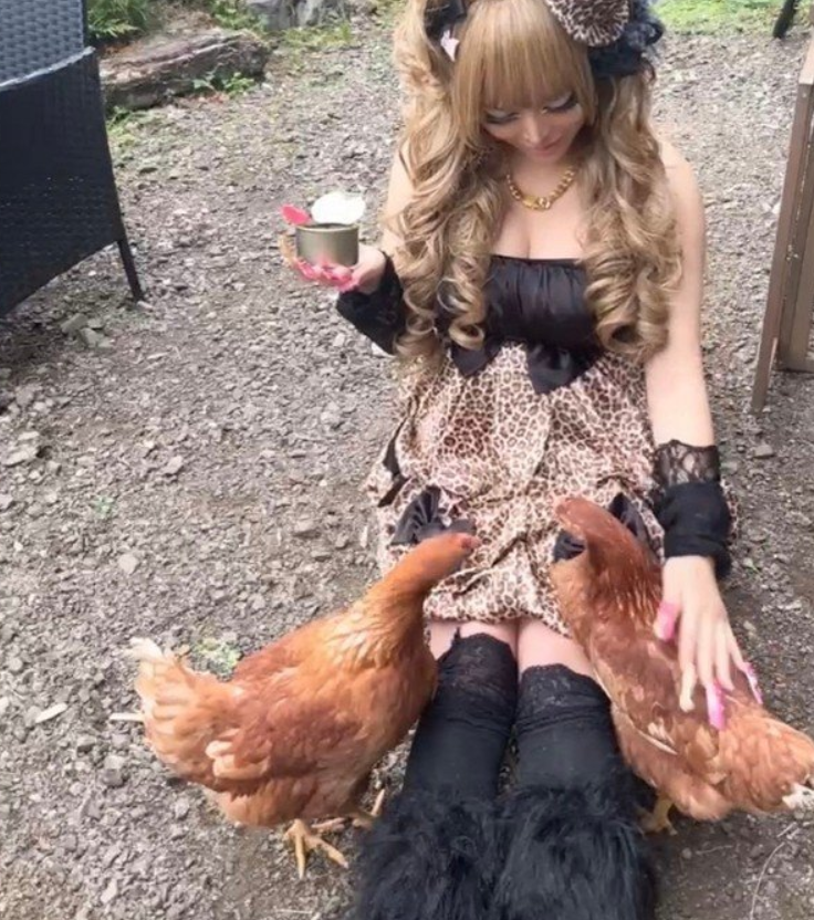 animetrends's tweet photo. GYARU DEJA TOKIO PARA CRIAR GALLINAS

Tras 15 años en el ritmo acelerado de la capital, UsaTani Paisen, presidenta de la Asociación de Gyaru Japonesas, decidió abandonar Tokio definitivamente tras sufrir crisis de estrés y agotamiento severo.

En lugar de romantizar la vida urbana, confesó que la ciudad simplemente le drenaba la vida y se mudó a las montañas para llevar un estilo tranquilo y autosuficiente.

Su esposo apoyó la decisión con una frase que se volvió viral: "Donde tú vivas, esa será mi capital".

El verdadero final feliz.