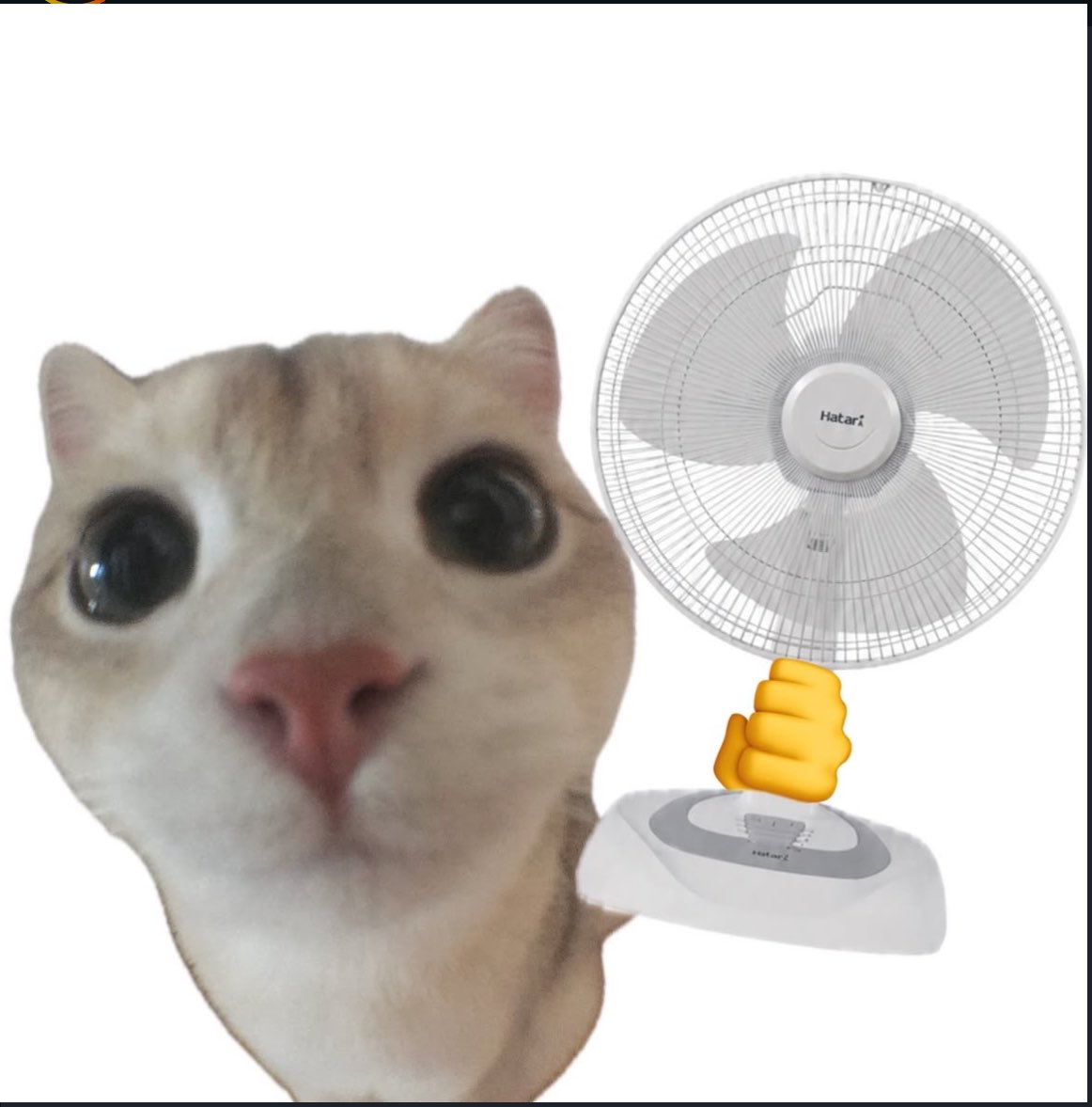 الشمس ولا القمر ؟ لا الزهرة tweet media