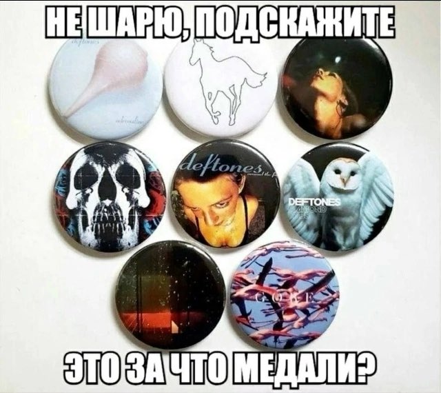 Шиза&База tweet media