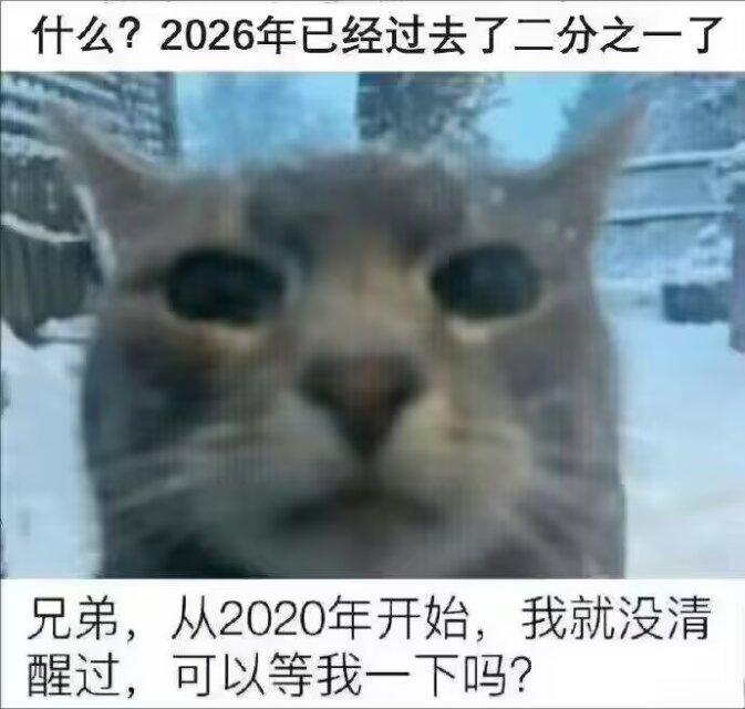 Poca2381's tweet photo. 什么? https://t.co/gVKOIBpFc5