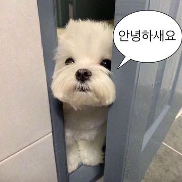 zanielhern_an16's tweet photo. 나 빈유 아니야 #부산 #섹트 #몸매 https://t.co/QIbPj2fYKc