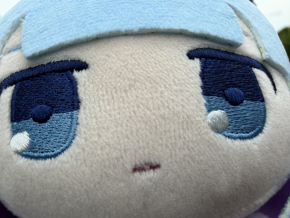 oretchi_You's tweet photo. 暇すぎて、そむぬいで遊ぶことしかできない https://t.co/bv2nYeGhTf