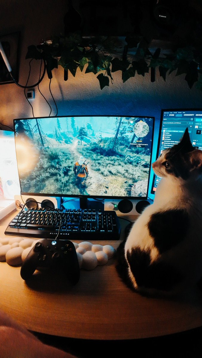 Devkobotes's tweet photo. Decided to jump back into The Witcher 3 and my little kitty decided it was perfect timing to come have a nap https://t.co/pMmyCPBeki