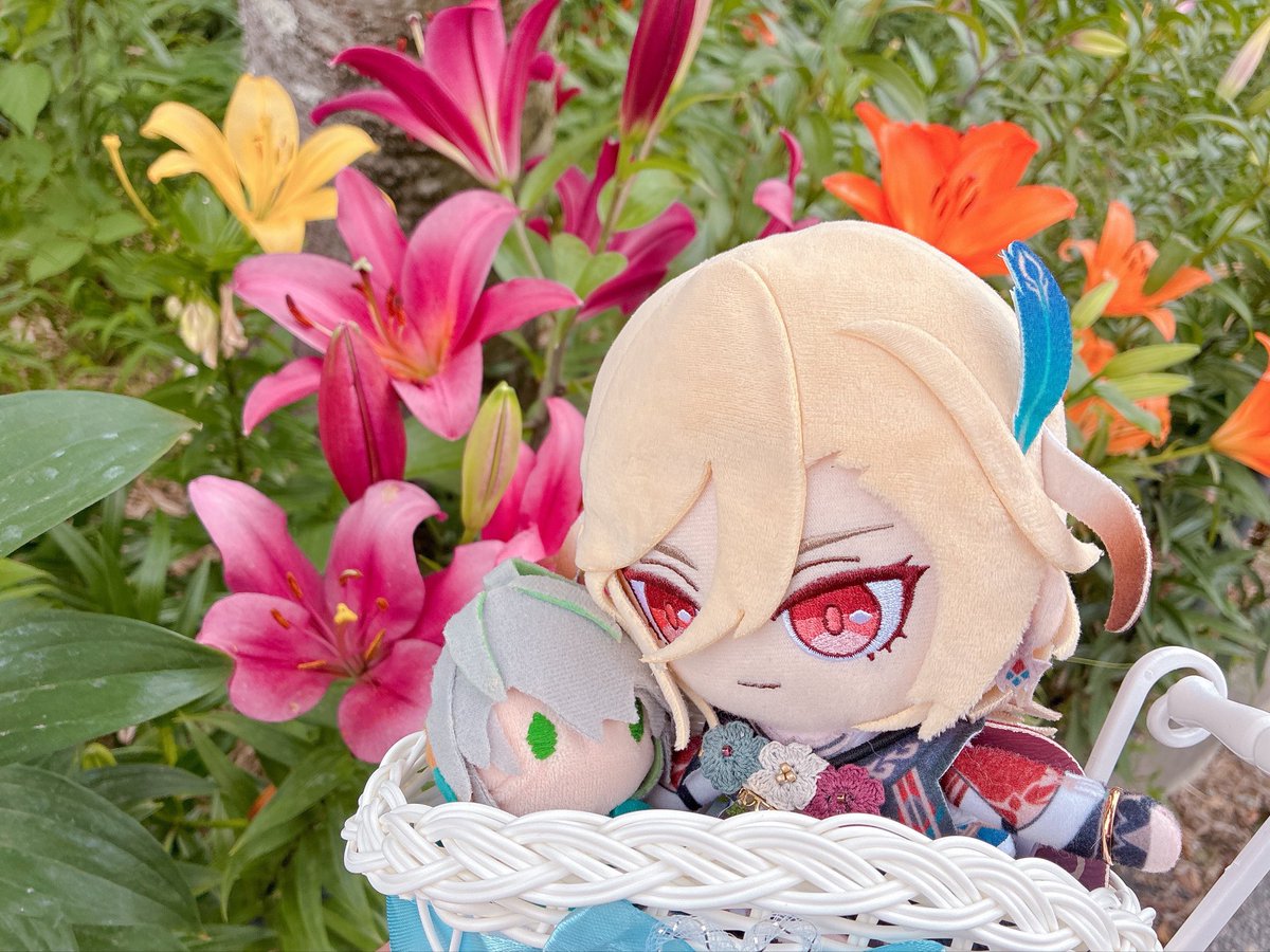 Ramroomlime's tweet photo. ゆりとあじさいを見に行ってきた💐
かべぬいと一緒に入れるカゴも買ったのでご機嫌なばぶ✨ https://t.co/UiVE374w55