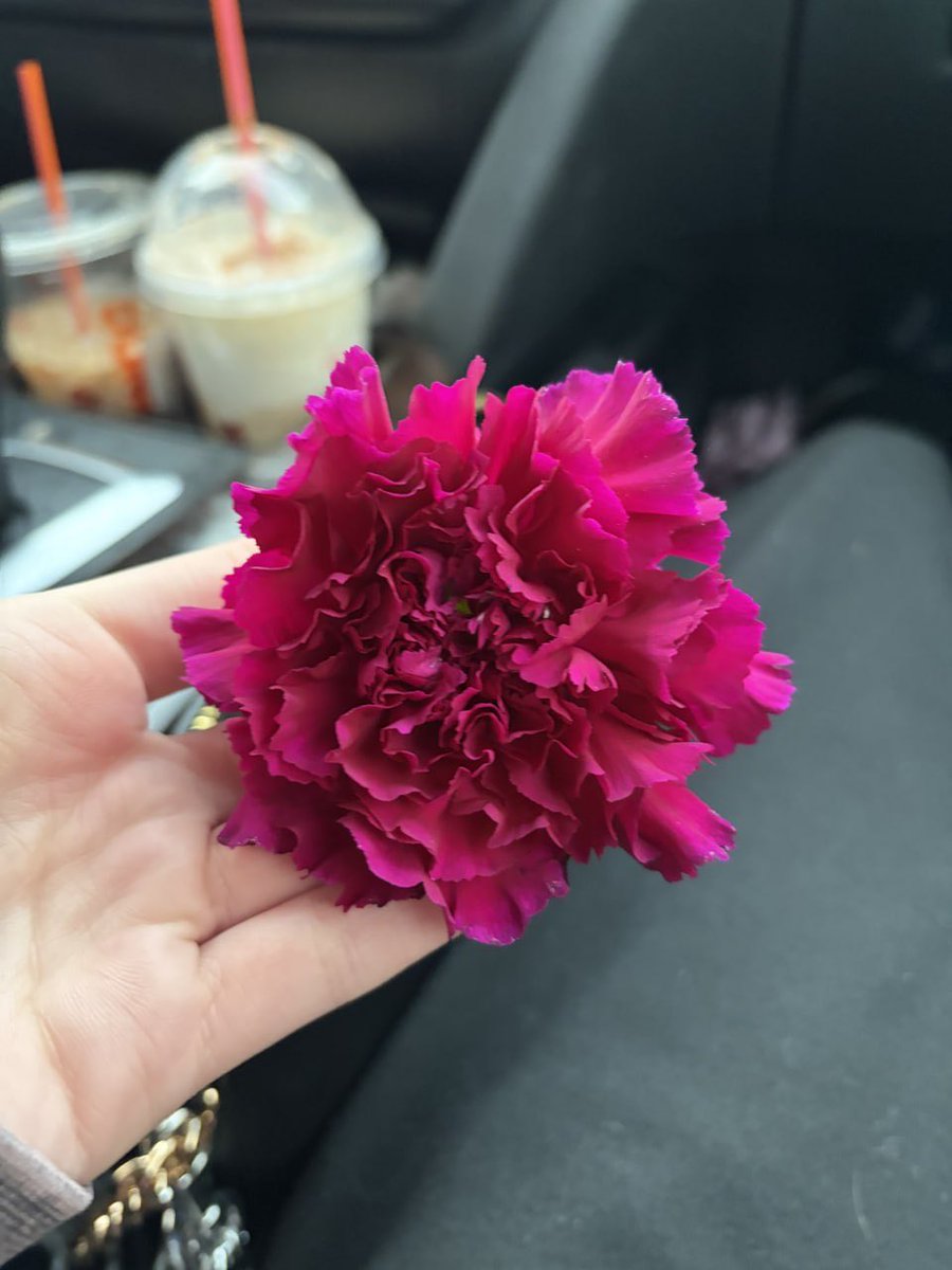 roanneverse's tweet photo. how pretty is this?! https://t.co/OAOhybmYeF