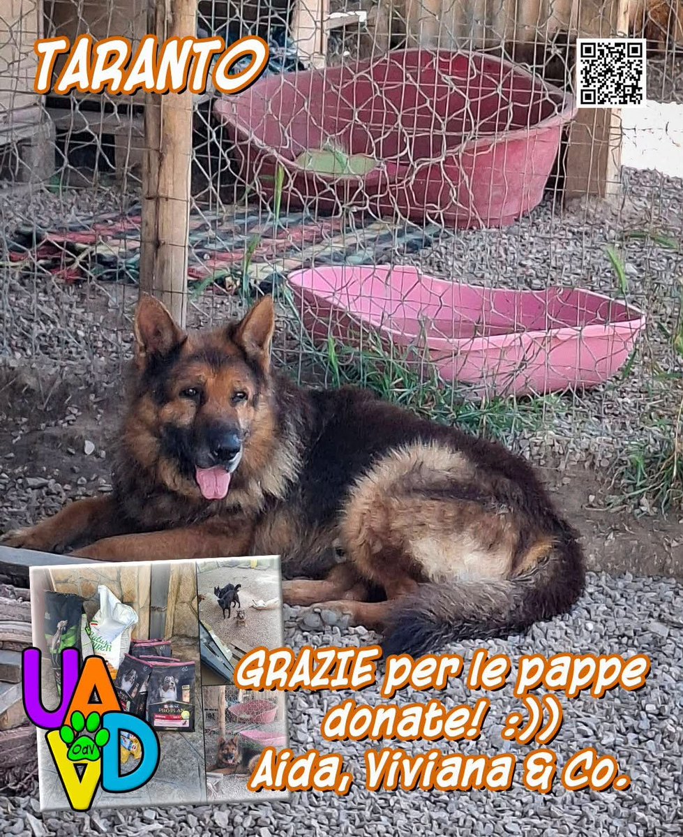 unonlus's tweet photo. Da Taranto scrive Aida Mantellini: "Altra pappa per I pelosetti del Rifugio "La casa del sole"
Grazie UADA
Grazie Anna Maria Nizzola e Pasquale Masi ❤️❤️❤️"
Per #DIFFONDERE ed #AIUTARCI, clicca su questo link: https://t.co/CrpgShBBkL https://t.co/vWILwe3XF1