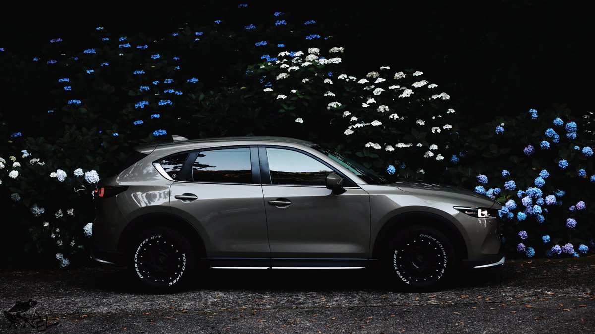 KAEL_with_cx5's tweet photo. 四葩

#cx5 #withmazda https://t.co/r5h8RkULip