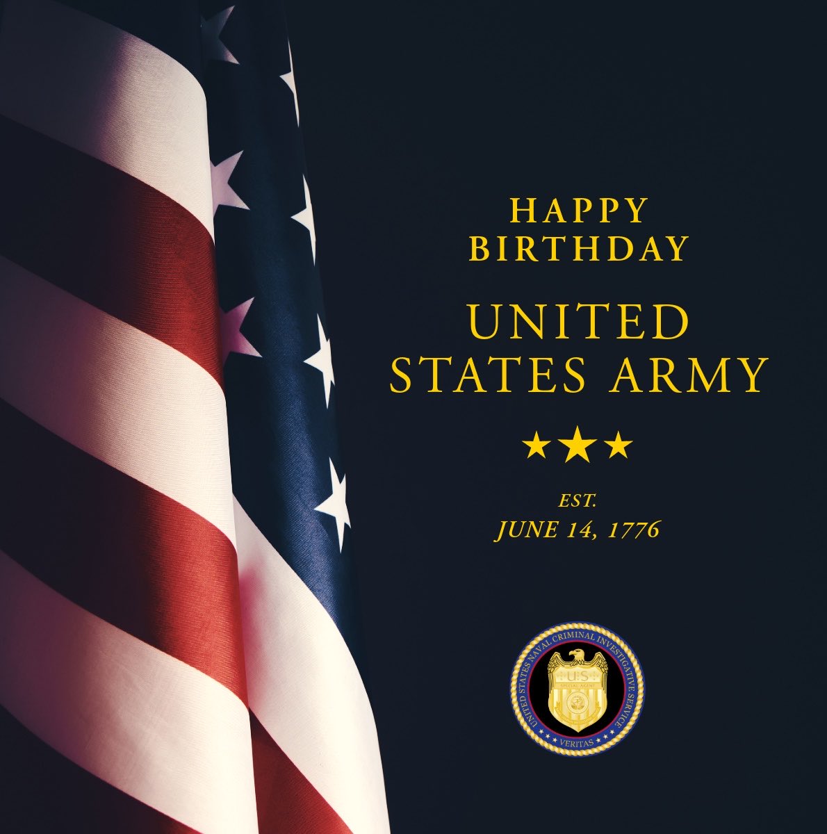 RealNCIS's tweet photo. Today, we celebrate 251 years of the @USArmy. #NCIS is proud to work alongside our Army partners around the world to protect our military communities, strengthen national security & defend the freedoms we share. @Real_ArmyCI
#ArmyBirthday https://t.co/CqjFdOeYlr