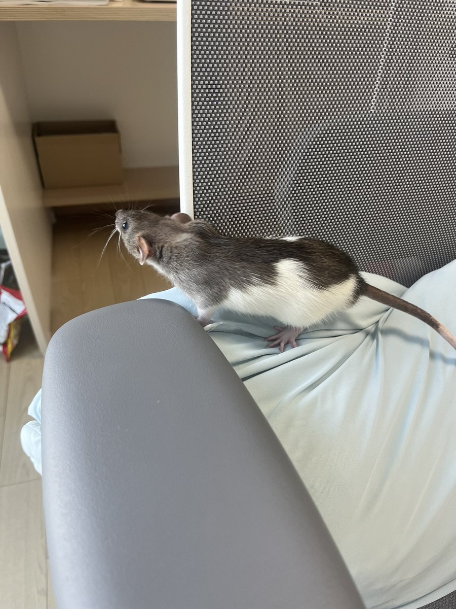 nattoooo77's tweet photo. https://t.co/kAlLzEQGHY