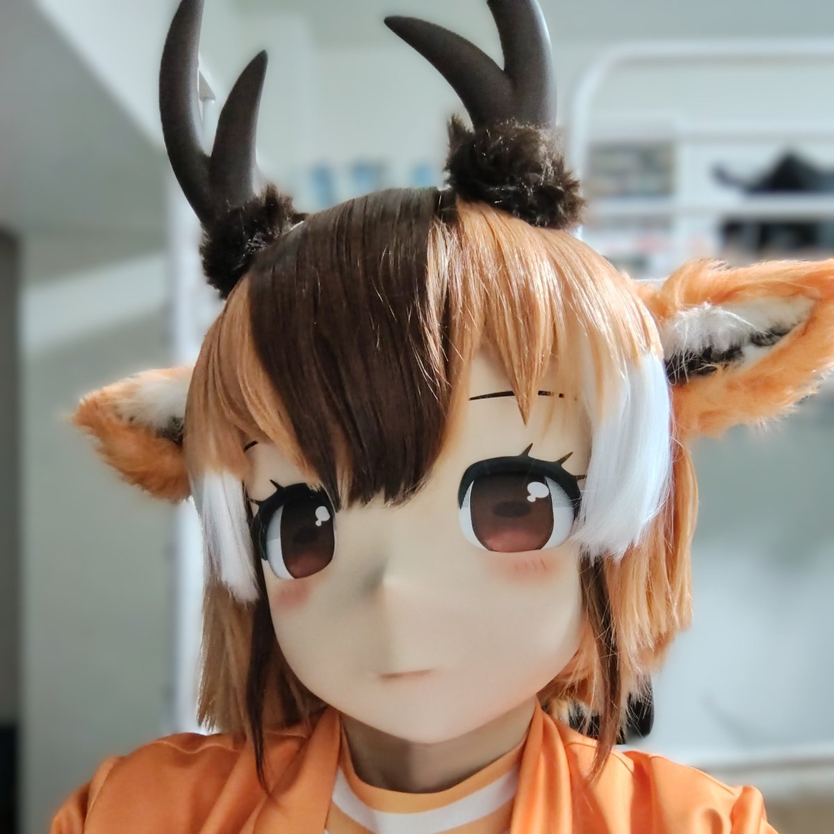 RT @72TSUNO: （速報値）プホさまマスクを新居に輸送できたので簡単に 