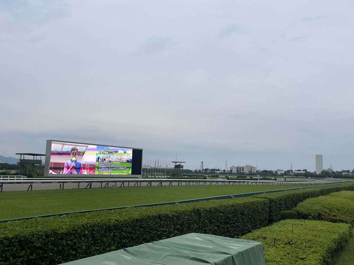 ma2nbr's tweet photo. 【第67回 宝塚記念】R8.6.14 阪神競馬場 第11レース
何十年かぶりに阪神競馬場へ。
この日は宝塚記念のレースがあり、ありえないほどの観客の数。さらには宝塚記念のレース直前にゲリラ豪雨が、、、。記憶にも記録にも残るレースとなりました。
メイショウタバルと武豊騎手、感動をありがとう。
#JRA https://t.co/vr2WiNrBL3