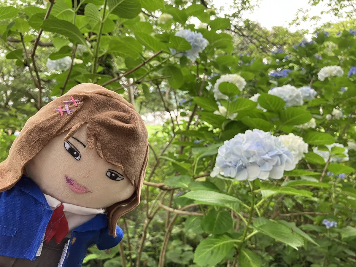 KaiserPlusAlpha's tweet photo. あじさい巡りと昭和のまち楽しかった(*'▽'*)

#豊後高田さんぽ https://t.co/WKGeuJJGio