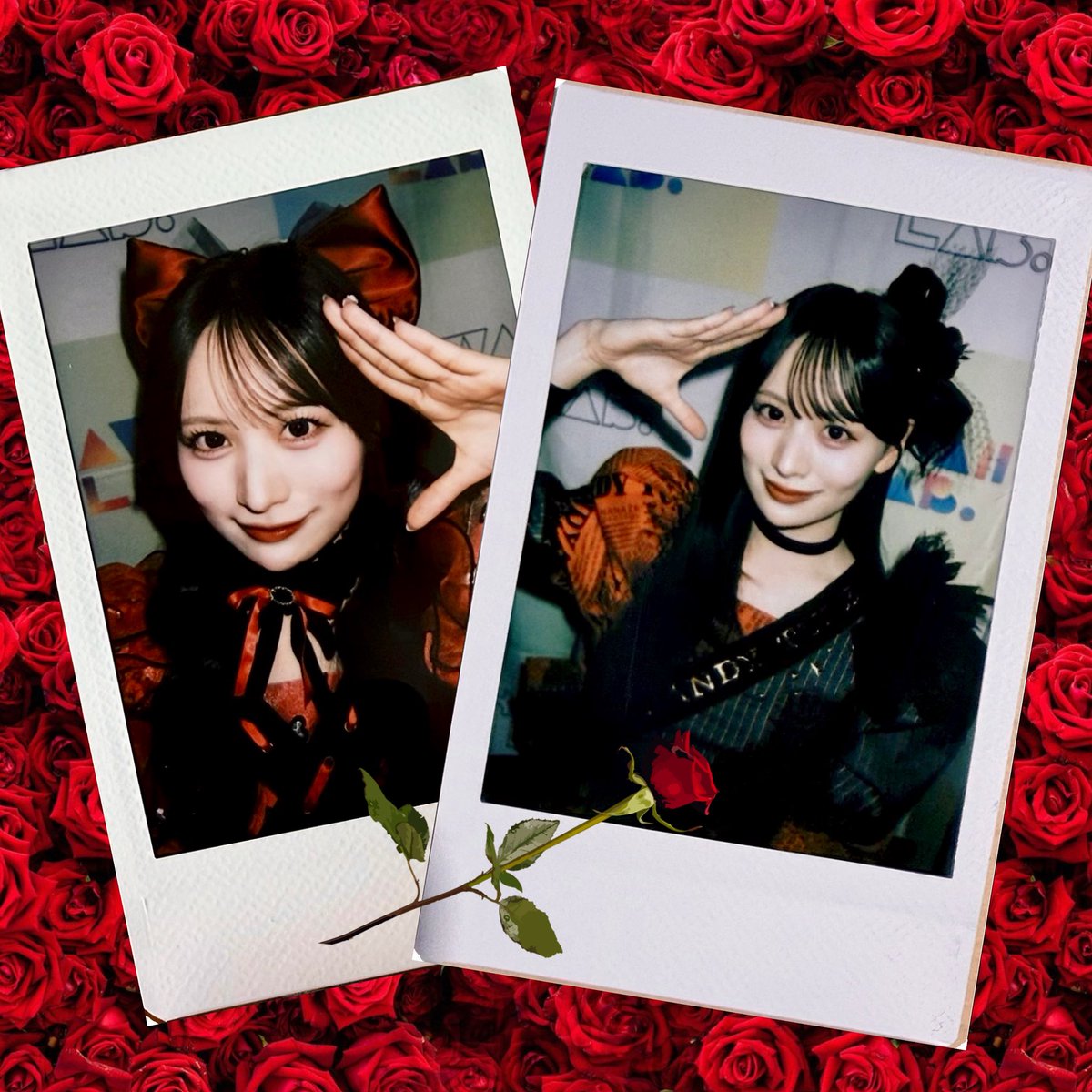 にこちゃん ポスト こっちゃん🌹今週の大特典会📸 ハートチュール衣装♥️ AWARD衣装