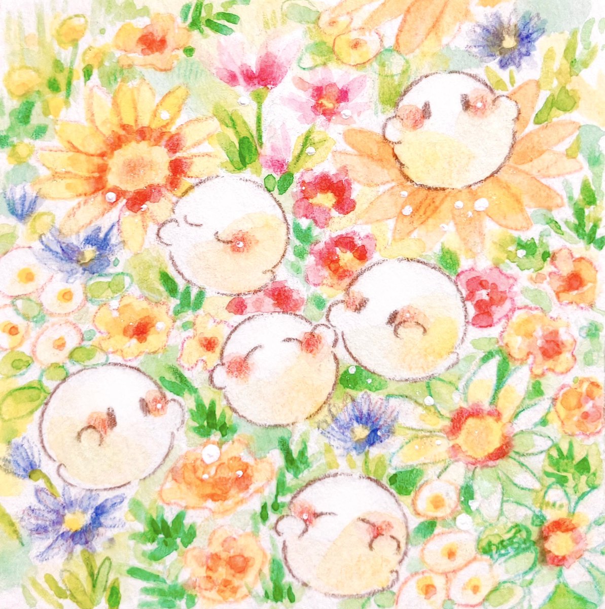 yukichi_0611's tweet photo. 当たり前のしあわせ🫧🌿 https://t.co/hkeeW9CfAf