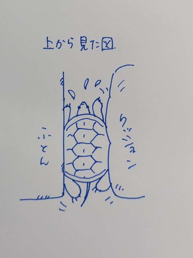 caramel_216's tweet photo. なんかカサカサの音がすると思ったら、カメ女子がはまって進めなくなってました。
甲羅を計算に入れなさいよ
#うちのかめ https://t.co/J8dmdhwL0c