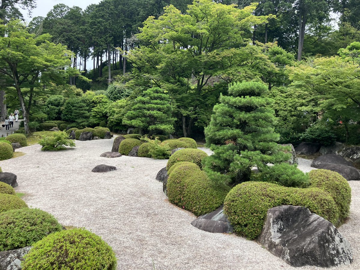EijiHiguchi's tweet photo. 宇治市　三室戸寺の紫陽花です🥰

写真の整理がまだできていなくて💦
小分けにして載せていきますね☺️

六月中旬ですね😊 https://t.co/HirP4do36U