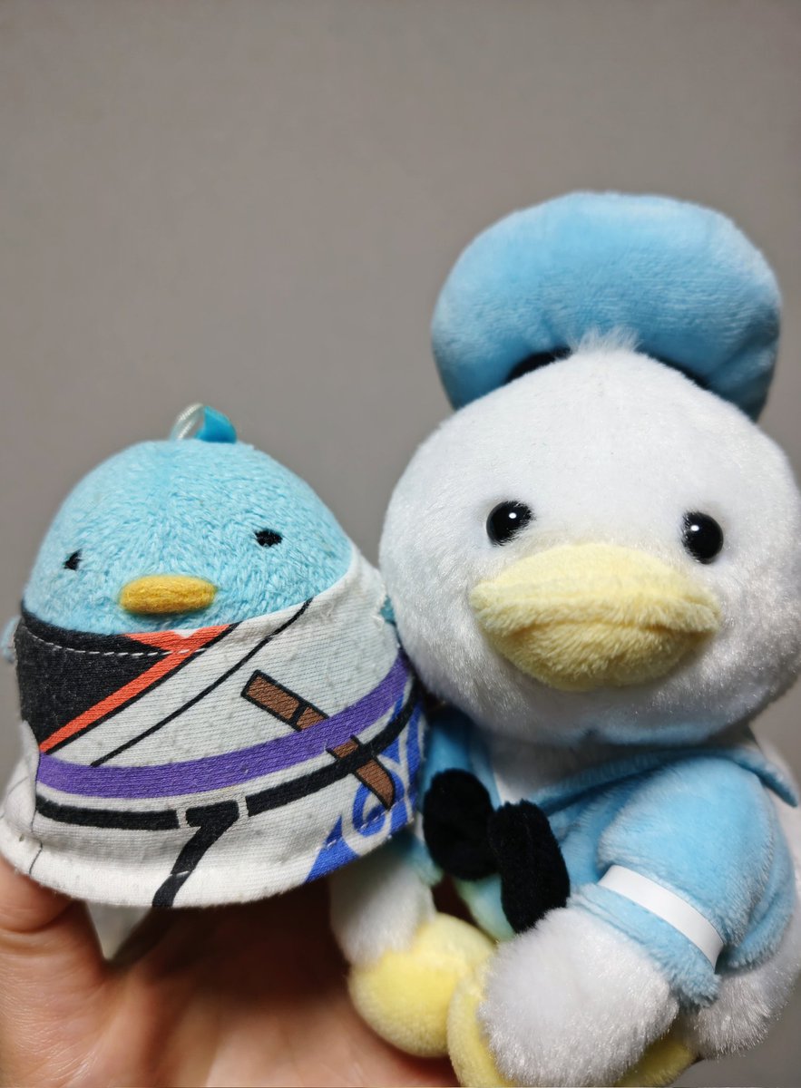 新飯田 tweet media