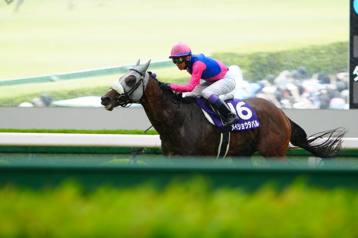 kkr8612's tweet photo. メイショウタバル/武豊

雨は降る降る人馬は濡れる　越すに越されぬタバルの背
右手に短鞭左手に手綱　馬上豊よ美中年

ってね https://t.co/cyoic8ITV0