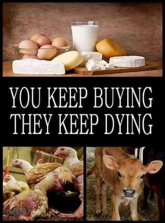 veganfuture's tweet photo. Ditch dairy. Go vegan https://t.co/TaMULjUIRw