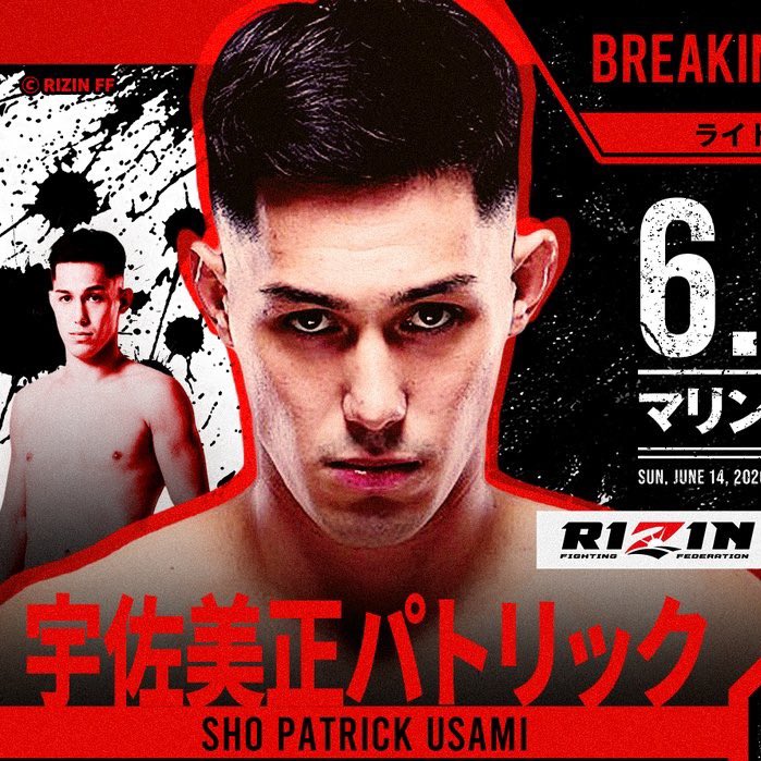 ファイトメモリー | Fight Memory tweet media