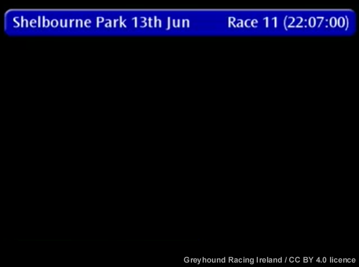 banbloodsports's tweet photo. Greyhound Racing Ireland is HIDING video footage of Race 11 at Shelbourne Park track yesterday (13 June 2026) during which 2 greyhounds were knocked over. Don't go greyhound racing. #Ireland #BanGreyhoundRacing https://t.co/0j6B0wYWde