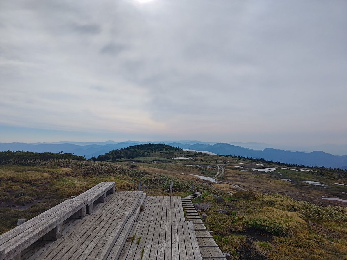 milta_BD's tweet photo. 【6/14 苗場山】
天空の湿原と高山植物
どこかのRPGの目的地の世界 https://t.co/LFYb2Yuosn