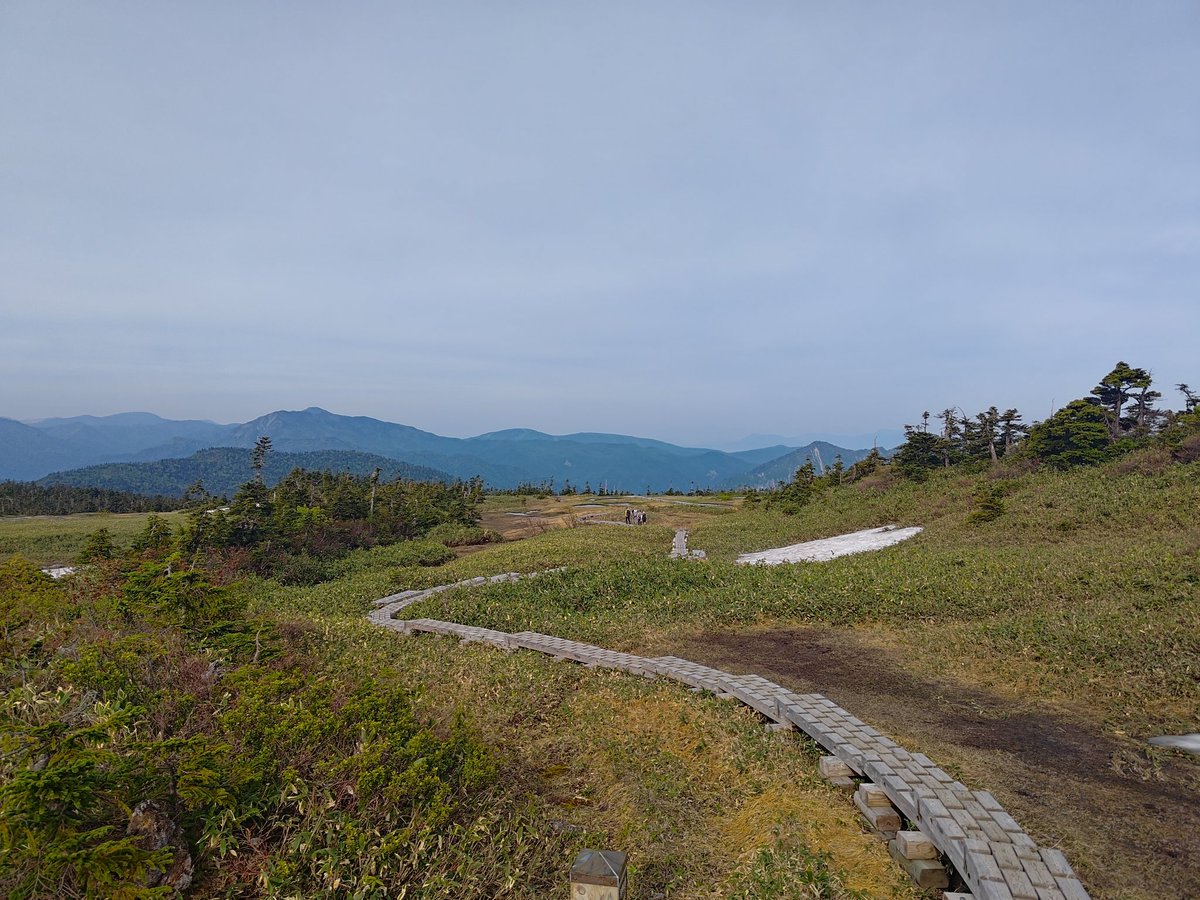 milta_BD's tweet photo. 【6/14 苗場山】
天空の湿原と高山植物
どこかのRPGの目的地の世界 https://t.co/LFYb2Yuosn