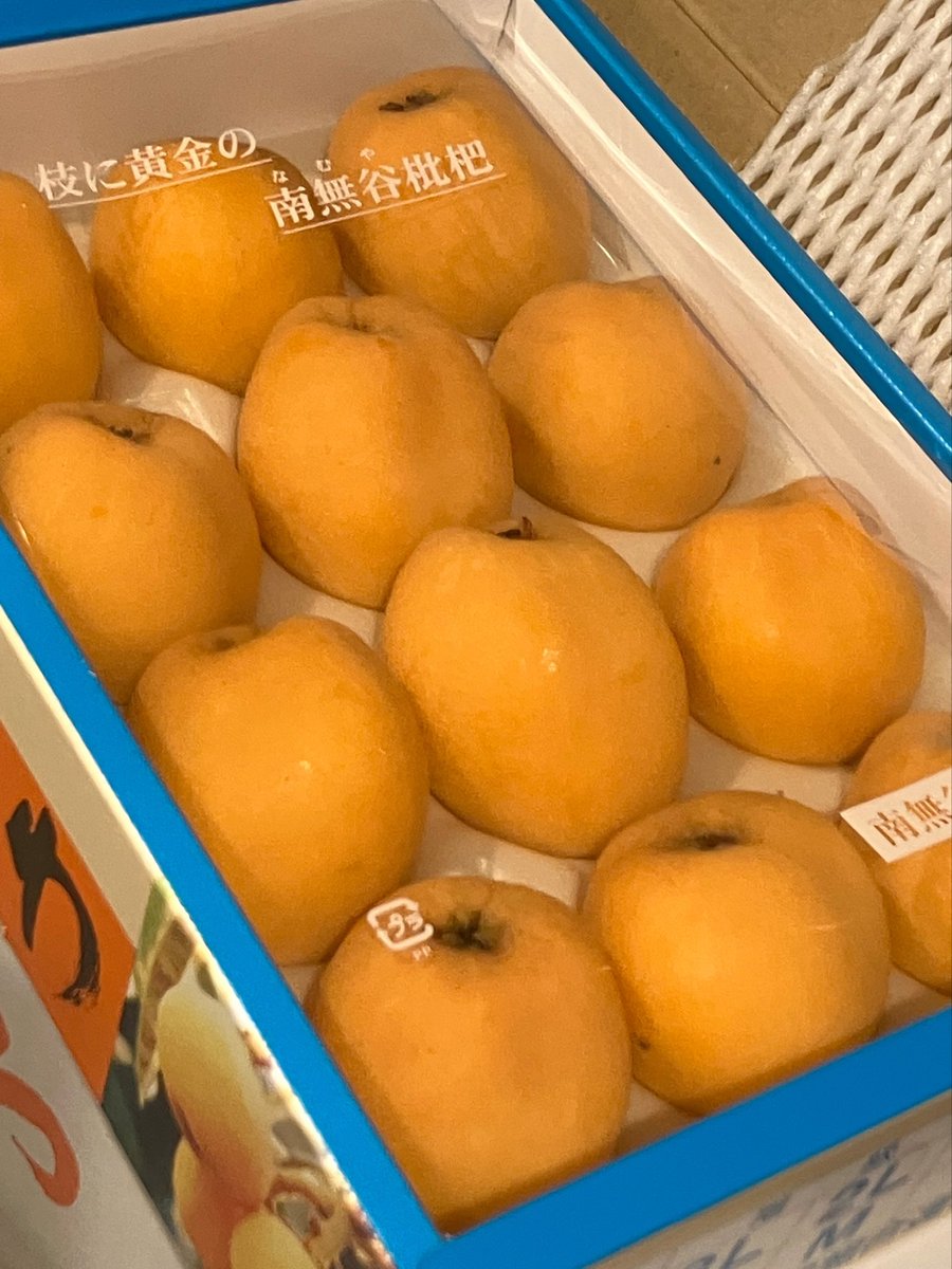 fuG3u's tweet photo. 心は常に千葉県民だから房州びわの箱を見るとテンションが上がる。房州びわはいいぞ。みんな食べてね（びわゼリーでも可） https://t.co/57edDwBwDK