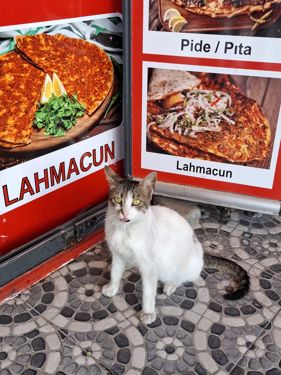 ehveniser666's tweet photo. Senin adını lahmacun koyuyorum https://t.co/dwHKagVRqD