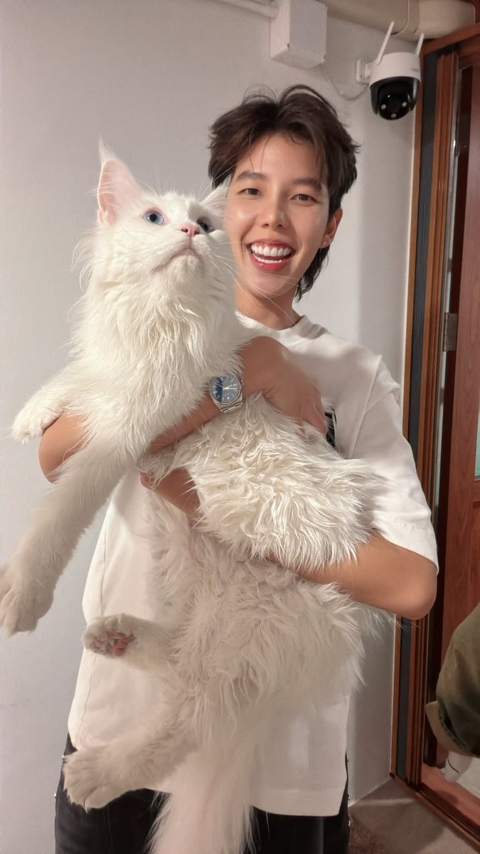 KetSet124580's tweet photo. น่ารักจังพี่ปายฮับ..ช่วยน้องแมวด้วยฮับ🤣 https://t.co/tjM252fg4A