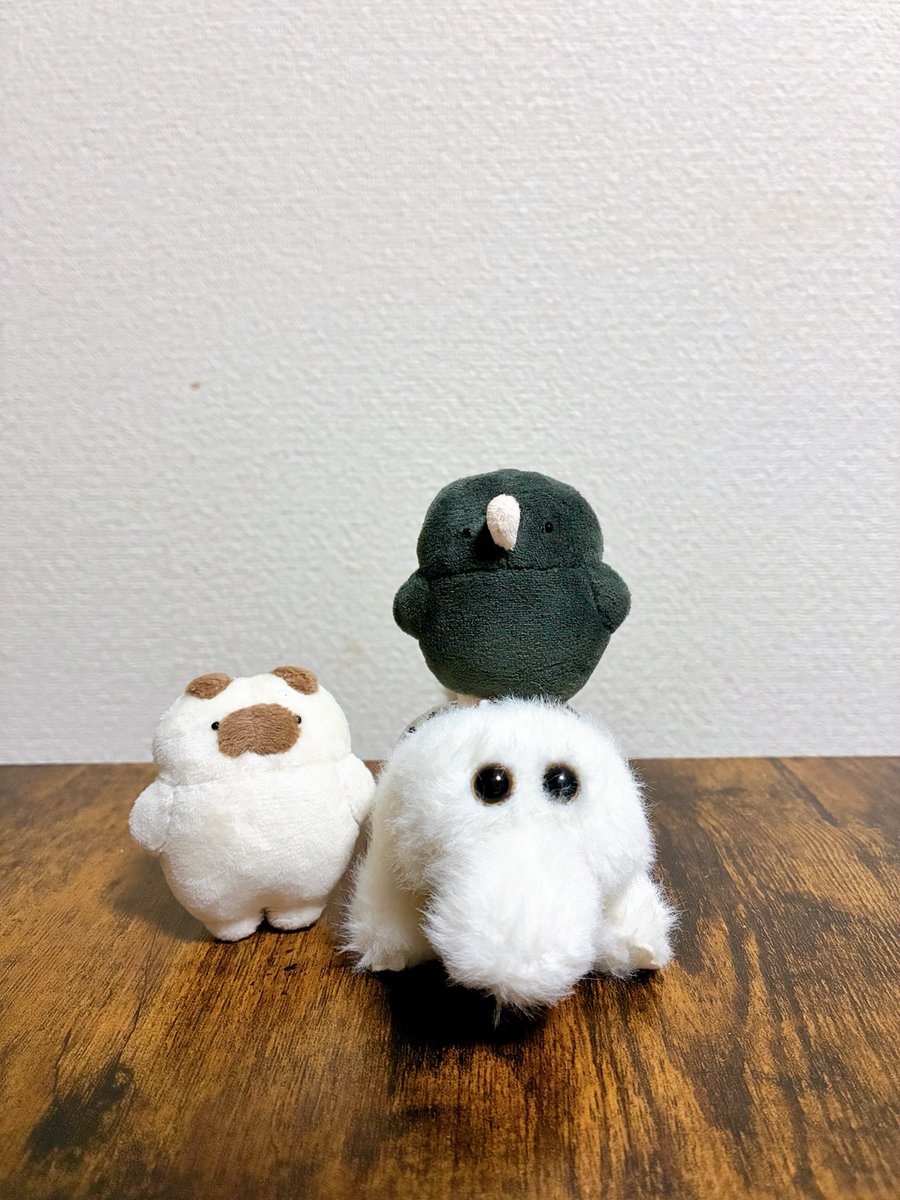 nuiami3154's tweet photo. 東京旅行でヴィレヴァンに駆け込んだらベビさん達たくさんいてくれて捕獲した🐊シークレットさんが出ちゃったのでお写真はまたいつか https://t.co/E8TYDJFS6E