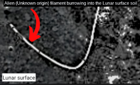 bruce_spir50017's tweet photo. Alien filaments which I refer to in my research as... "Quicksilvers" Are able to descend from orbit and burrow into the lunar soil. Transmedium non-human technology demonstrating real world application. Amazing! https://t.co/rPczdNGLMc