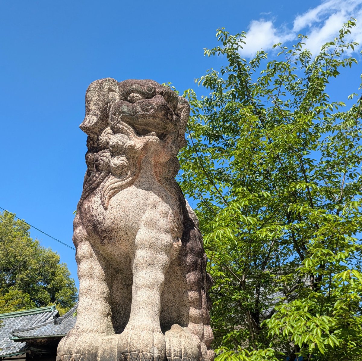 三つ星をあげるワン