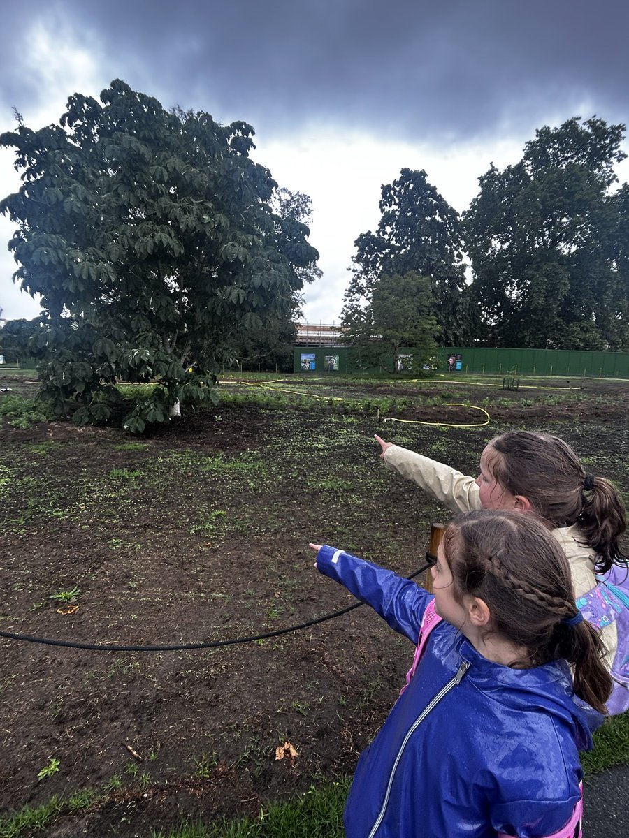 TheHermitage's tweet photo. 🌳 Year 3 did not let the rain dampen their spirits at Kew Gardens this week. They were great ambassadors for our school and became expert tree identifiers even from the canopy! 🌲 Thank you to all our staff &amp; parent volunteers for helping make this day such a huge success.🌱 https://t.co/JouujjGOwT