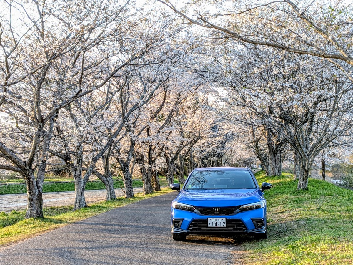 CrystalB_CIVIC's tweet photo. #あなたが愛車を選んだ理由を3つ教えて 

①色
②顔
③ケツ

シビックという乗り物を知ったとき、
絶対この色を持ちたいって思ってました

私の夢を叶えてくれてありがとう
シビちゃんのおかげやよ👍 https://t.co/6D9mfmbqfL